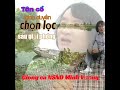 Tình quê .NSND Minh Vương & NS Kim Thoa ca