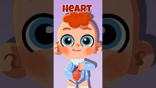 🧠 Body Secrets: Organs Inside Us!❤️ #kids #learn