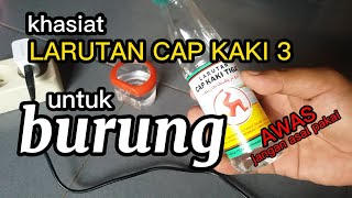 Khasiat larutan cap kaki tiga untuk burung