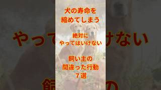 犬の寿命を縮めてしまう絶対にやってはいけない飼い主の間違った行動７選 #犬ランキング #犬動画 #犬好き