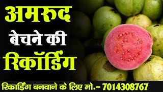 [ हिंदी ] अमरुद की रिकॉर्डिंग I अमरुद बेचने का नया प्रचार I Guava Recording I अमरुद  वाला प्रचार