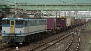 (観覧注意　猫と衝突事故、緊急停車)  EF65牽引貨物列車　熱田駅付近