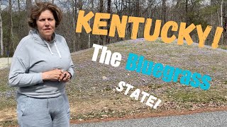 Kentucky, the “Bluegrass” state!