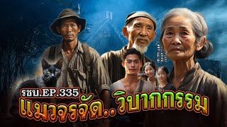 เรื่องเล่าชาวบ้านดวงจำปา EP.335 แมวจรจัด..วิบากกรรม