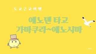 [도쿄 근교 여행] 에노덴 타고 가마쿠라~에노시마