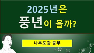 풍년화라고 부르는 이유? : 이름의 유래, 약효 : 속명과 영문명의 해설 : 줄기와 가지, 수형