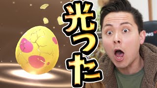 シンオウ滑り込みの32連！色違った！！！【ポケモンGO】