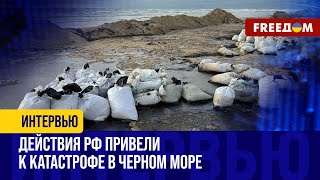 КРОВАВЫЙ путинский мазут в Черном море. Диктатор только ОЧНУЛСЯ