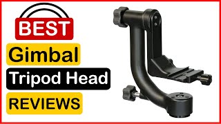 🏆  Best Gimbal Tripod Head On Amazon In 2023 ✅ Top 5 Tested \u0026 Buying Guide