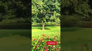 War Cemetery, Chittagong 😱😱 | Youtube Shorts Video #viral #shorts #trending #historical #place