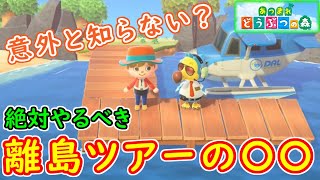 【あつ森】必須級！離島ツアーでやるべきことを紹介！マイル旅行券　あつまれどうぶつの森【ひでがめす】