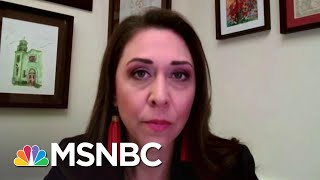 House Members Voice Frustrations Over Security During Capitol Riot | Andrea Mitchell | MSNBC
