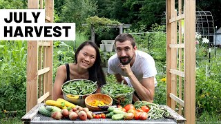 An abundant summer garden - Big July vegetable harvest | GroundedHavenHomestead