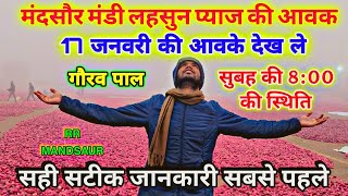 17 january 2025 मंदसौर मंडी की प्याज लहसुन की आवक लहसुन की रिपोर्ट #mandsaur_mandi_bhav