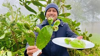 Cactus Fruit | Prickly Pear | How to Cut \u0026 Eat | Mubashir Saddique | Village Food Secrets