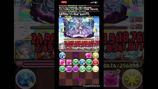 【パズドラ】夏休みコロシアムを快適周回！！無課金強力武器を入手しよう！！ #パズドラ #夏休みコロシアム #short