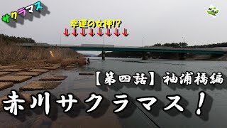 【赤川サクラマス！】「第四話」袖浦橋編！