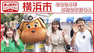 あっぱれ！KANAGAWA大行進 2024年5月25日放送　横浜市