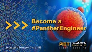 Bioengineering Graduate Program @ Pitt