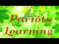 about mahatma gandhi മഹാത്മാ ഗാന്ധിയെ കുറിച്ച് ഒരു ചെറിയ biography parrots learning