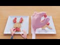 booba food puzzle waffle animals episode 18 cartoon for kids