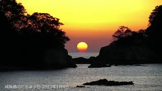 咸陽島のだるま夕日 - 2023年1月8日 - Omega Sun