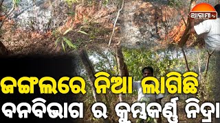 ଜଙ୍ଗଲରେ ଆଜି ନିଆଁ ଲାଗି ଥିବାର ଦୃଶ୍ୟ ଦେଖିବାକୁ ମିଳିଥିଲା କିନ୍ତୁ ନିଆ ଲିଭେଇବାକୁ ଆସୁନାହାନ୍ତି ବନବିଭାଗ