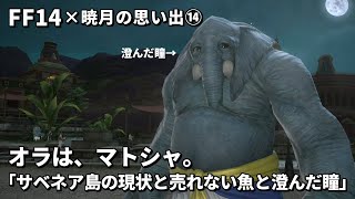 【FF14】暁月の思い出14 マトシャとの出会い「サベネア島の現状と売れない魚と澄んだ瞳」