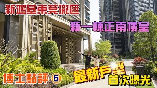 新鴻基睇樓團｜東莞石龍最豪宅[西九高鐵1小時]（博士點評5）#大灣區置業 #東莞置業 #新鴻基瓏匯