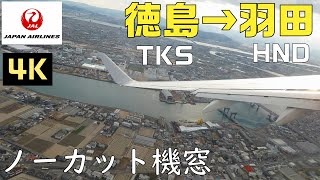 徳島阿波おどり空港(TKS)→羽田(HND)JAL460便左側 速度計・高度計付き