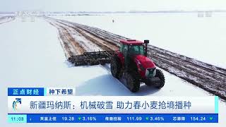 [正点财经]种下希望 新疆玛纳斯：机械破雪 助力春小麦抢墒播种|CCTV财经