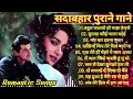 90’S Evergreen Hindi Songs💞💞90s Love Song🌷🌷Udit Narayan, Alka Yagnik, Kumar Songs 2024