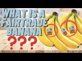 What is a Fairtrade Banana? Fairtrade vs. fair trade!