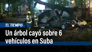 Siguen los aguaceros en Bogotá: Un árbol cayó sobre 6 vehículos en Suba | El Tiempo