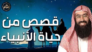 بث مباشر | قصص من حياة الأنبياء | قصص وعبر من حياة الرسل والمرسلين عليهم السلام