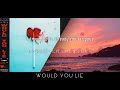 [和訳] Seeb, Alexander Stewart - Would You Lie