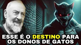 PADRE PIO MOSTROU O DESTINO CRUEL PARA QUEM TEM GATOS EM CASA   VEJA URGENTEMENTE