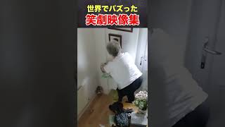 「世界中でバズった！1分で爆笑できる瞬間をまとめてみた」 #funny #snsで話題 #面白い #世界中の誰よりもバズり #おもしろ動画 #瞬間 #話題の動画 #ドッキリ