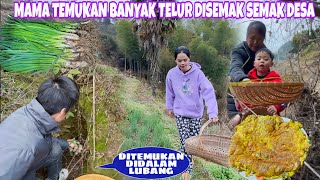 MAMA TEMUKAN TELUR DILUBANG SEMAK SEMAK UNTUNG TEPAT WAKTU, PANEN DAUN BAWANG UNTUK JUALAN BESOK