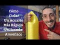 🔵 Cómo Ciclar Un Acuario Mas Rápido Utilizando Amoniaco (Acuarios MB)