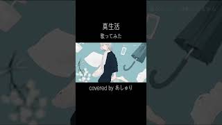 「真生活」歌わせていただきました/Covered by あしゅり#shorts