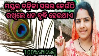 ଘରର କେଉଁଠି ମୟୂର ଚନ୍ଦ୍ରିକା ରଖିଲେ ଧନ ବୃଦ୍ଧି ହେଇଥାଏ।। ଆଜିର ଅନୁଚିନ୍ତା sadhubani