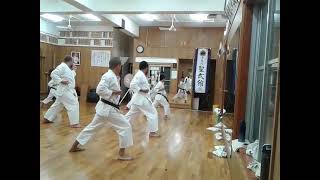 Kihon Renshu 1: The Basics Of Okinawan Shorin  Ryu Seibukan Karate