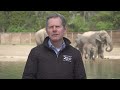 AAPI Heritage Month: Tom Schmid, President and CEO of Columbus Zoo and Aquarium