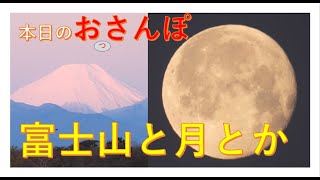 今日は短め・富士山と月とか・本日のおっさんぽ