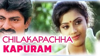 Chilakapachha Kaapuram Hindi Full Movie | Jagapathi Babu, Meena , Soundarya | Hindi Dubbed Movies