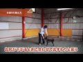 犬 ワンちゃんのしつけトレーニングの際に重要な2つの教え方