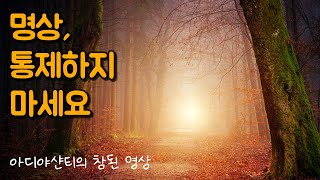 명상의 종류는 여러가지입니다 | 아디야샨티의 참된 명상