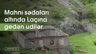 Mahnı sədaları altında Laçına gedən udilər