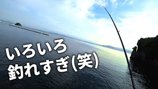 簡単に何でも釣れちゃうエコギアワームで漁港の釣りを楽しみまくる。